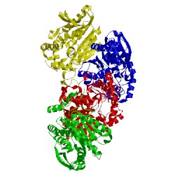 Image of CATH 4j7a