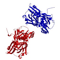 Image of CATH 4j7g
