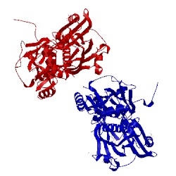 Image of CATH 4j7h