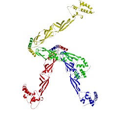 Image of CATH 4j80