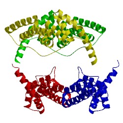 Image of CATH 4j8d