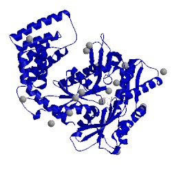 Image of CATH 4j8f