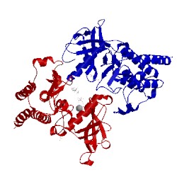 Image of CATH 4j96