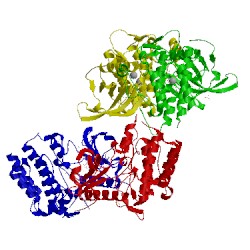 Image of CATH 4j99