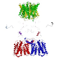 Image of CATH 4j9u