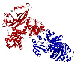 Image of CATH 4j9v
