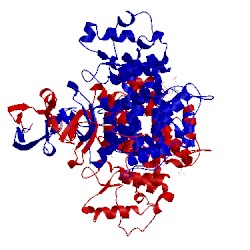 Image of CATH 4jae