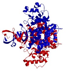 Image of CATH 4jaf