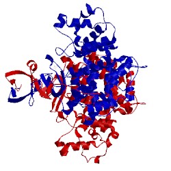 Image of CATH 4jag