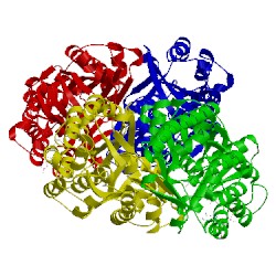 Image of CATH 4jap