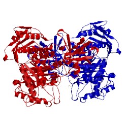 Image of CATH 4jaw