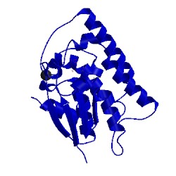 Image of CATH 4jbb
