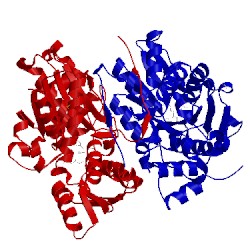 Image of CATH 4jbl