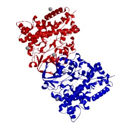 Image of CATH 4jbt
