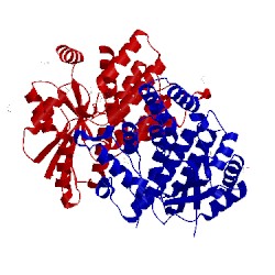 Image of CATH 4jbx
