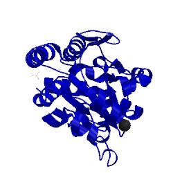Image of CATH 4jcc