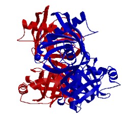 Image of CATH 4jci