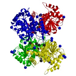 Image of CATH 4jco