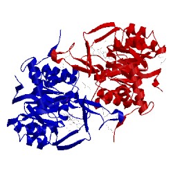 Image of CATH 4jdb
