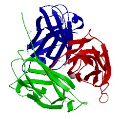 Image of CATH 4jdn