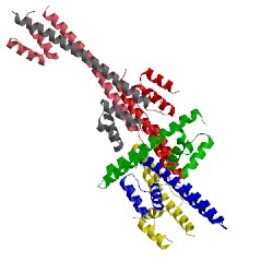 Image of CATH 4jdq