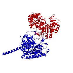 Image of CATH 4jep