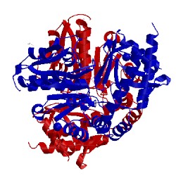 Image of CATH 4jev