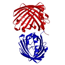 Image of CATH 4jf9