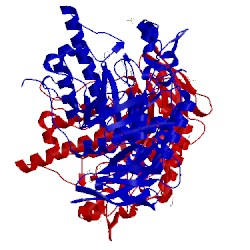 Image of CATH 4jft