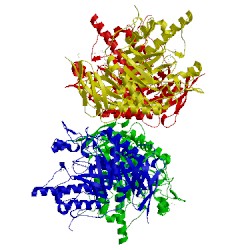 Image of CATH 4jfw