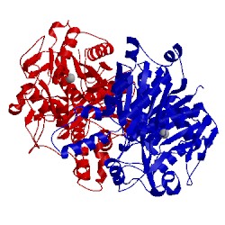 Image of CATH 4jga