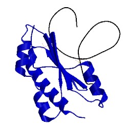Image of CATH 4jgn