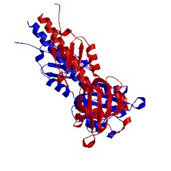 Image of CATH 4jgp