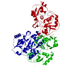 Image of CATH 4jgt