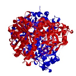 Image of CATH 4jim