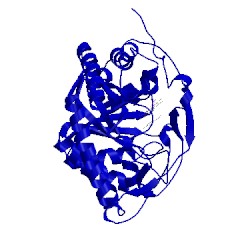 Image of CATH 4jip