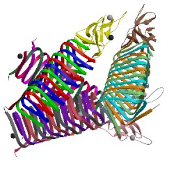 Image of CATH 4jiw
