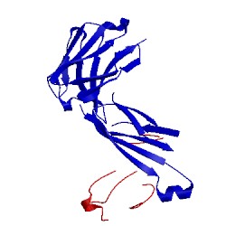 Image of CATH 4jj5