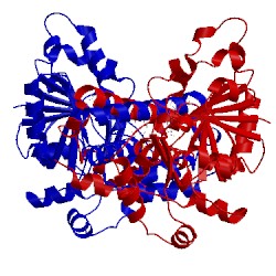 Image of CATH 4jjg