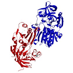 Image of CATH 4jji