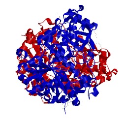 Image of CATH 4jjk