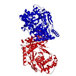 Image of CATH 4jjs