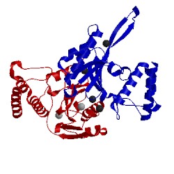 Image of CATH 4jkc