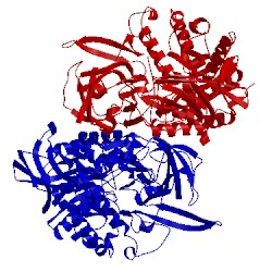 Image of CATH 4jkm
