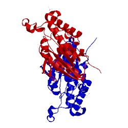 Image of CATH 4jko