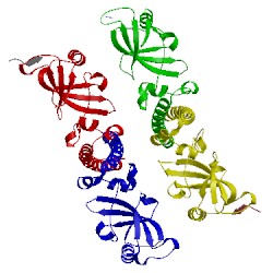 Image of CATH 4jmr