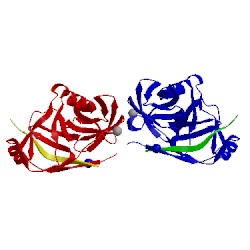 Image of CATH 4jmy