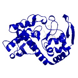 Image of CATH 4jn0