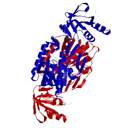 Image of CATH 4jna