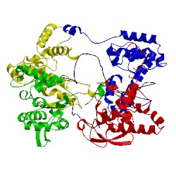 Image of CATH 4jng